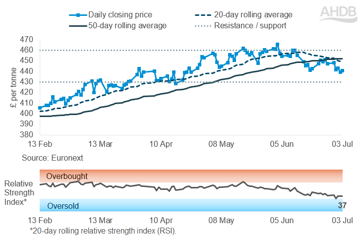 Line graph of Rapeseed futures Nov-26 contract prices over the past six months.  